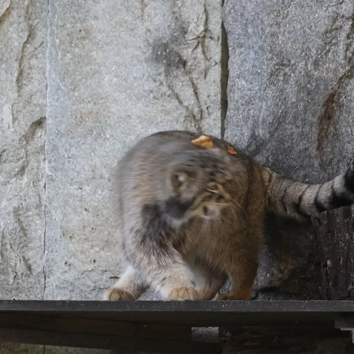 A photograph of Timofey in Moscow zoo