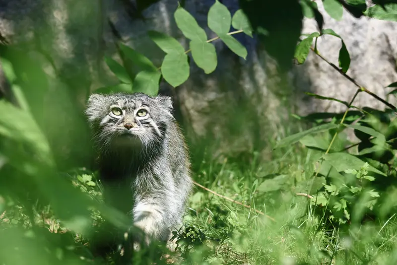 A photograph of Timofey in Moscow zoo