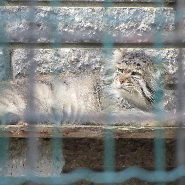 A photograph of Jonathan in Magdeburg Zoo
