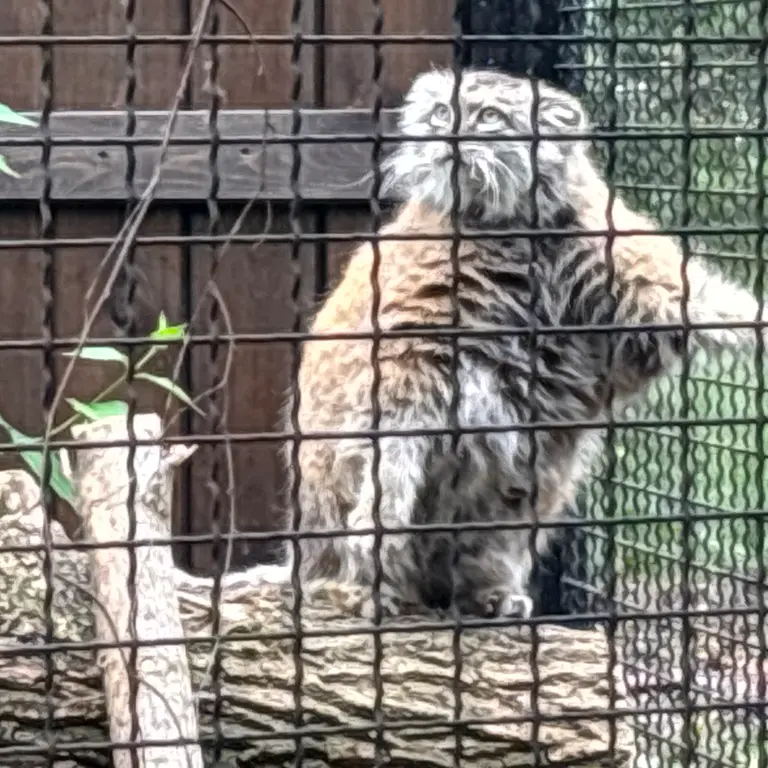 A photograph of Jessie in Warsaw Zoo