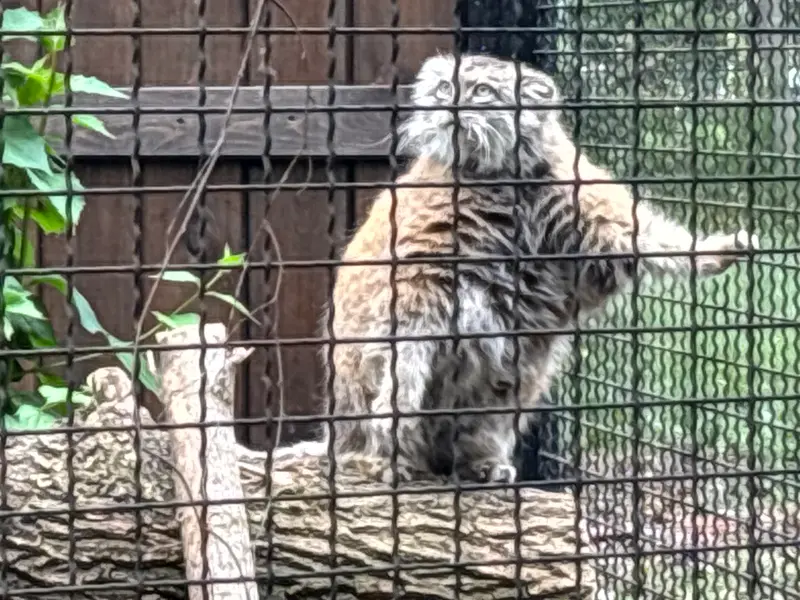 A photograph of Jessie in Warsaw Zoo