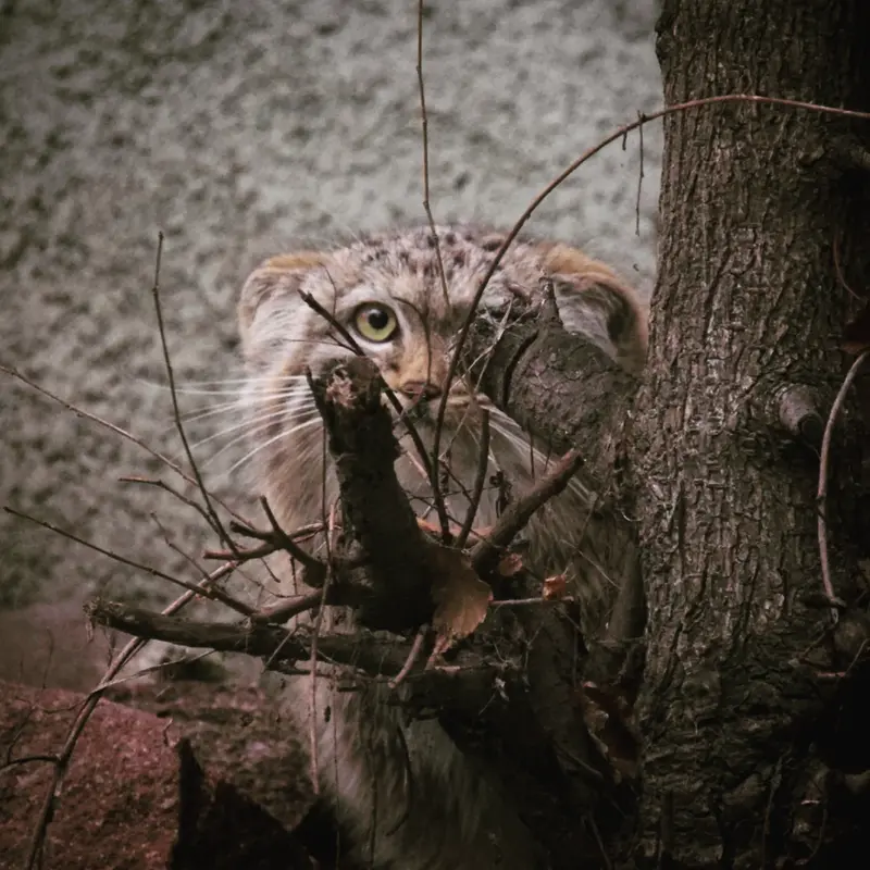 A photograph of Lucy in Budapest Zoo &amp; Botanical Garden