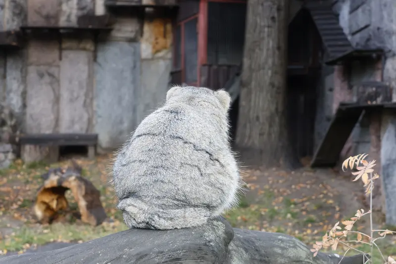 A photograph of Timofey in Moscow zoo