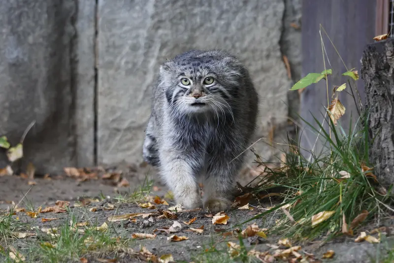 A photograph of Timofey in Moscow zoo