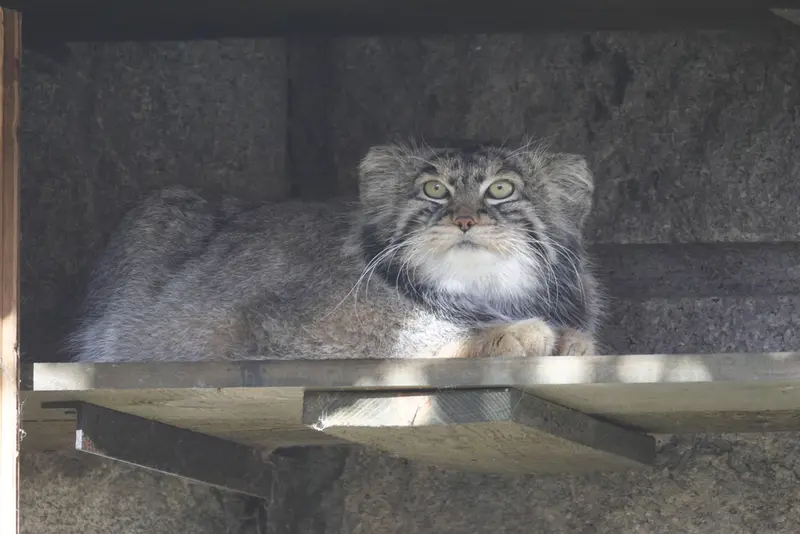 A photograph of Timofey in Moscow zoo