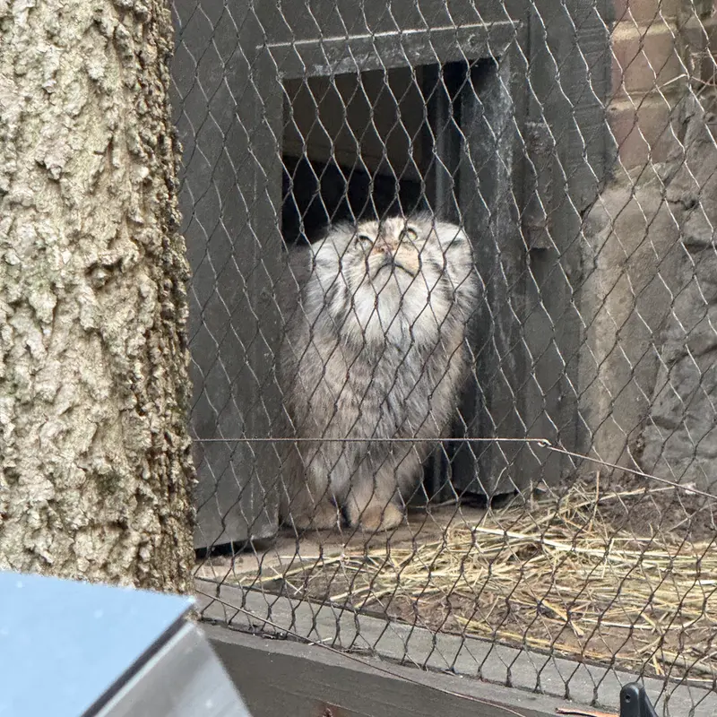 A photograph of Sarnai in Prospect Park Zoo