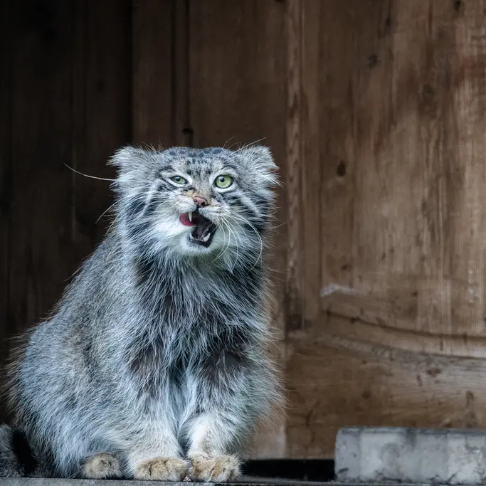 A photograph of Timofey in Moscow zoo