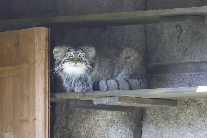 A photograph of Timofey in Moscow zoo