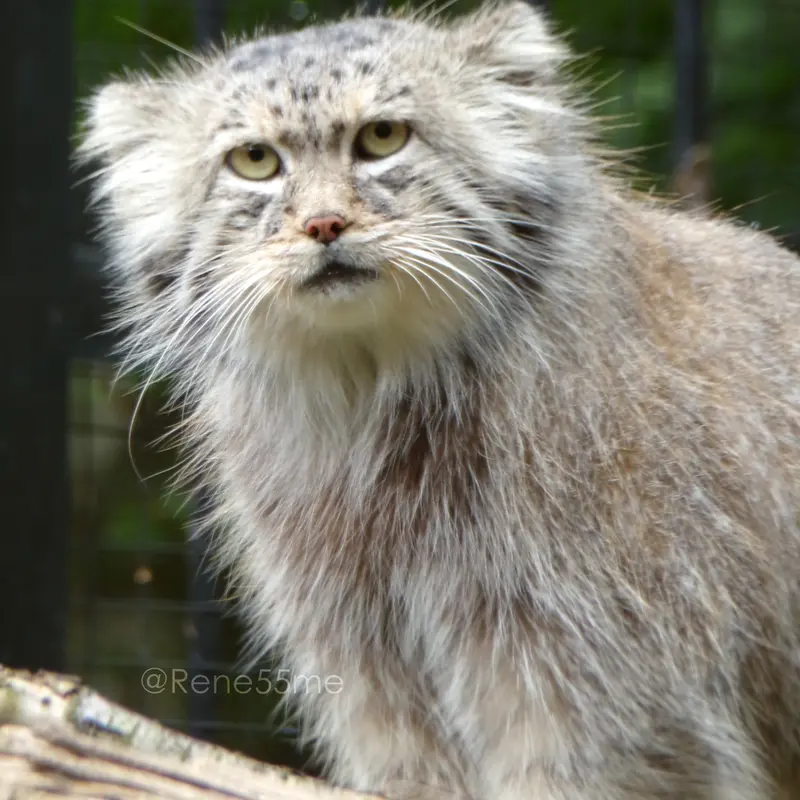 A photograph of Manuel in Gdansk Zoo