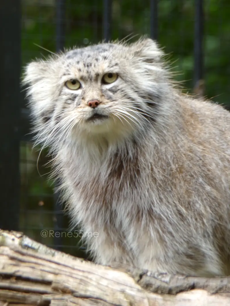 A photograph of Manuel in Gdansk Zoo
