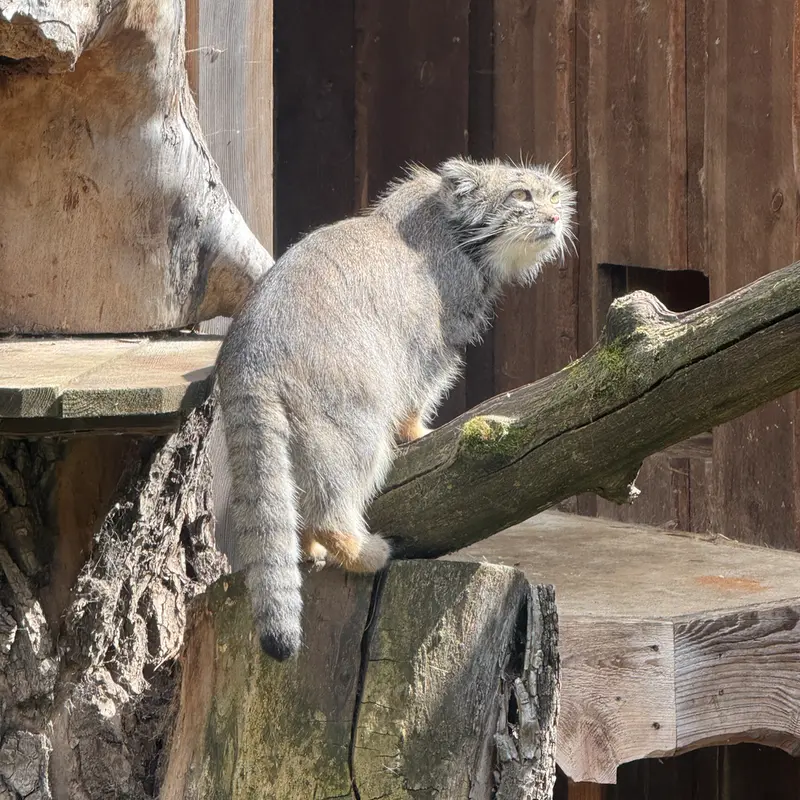 A photograph of Mars in Tallinn Zoo