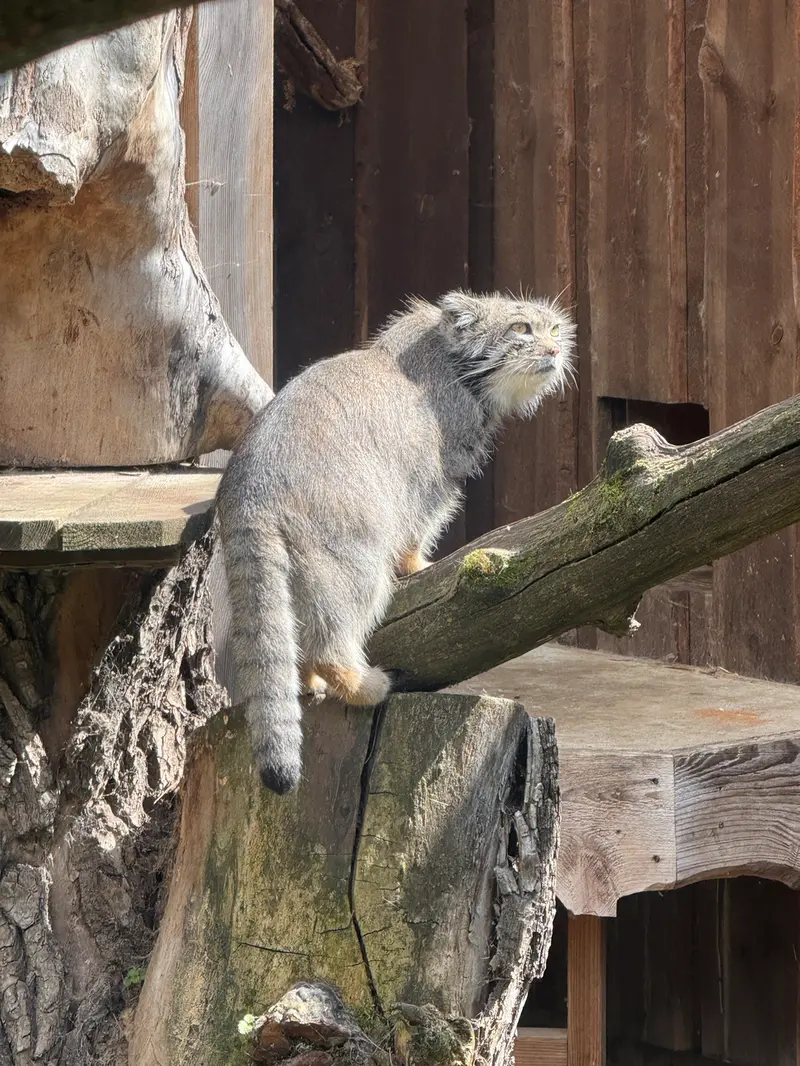 A photograph of Mars in Tallinn Zoo