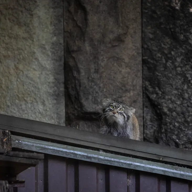 A photograph of Timofey in Moscow zoo