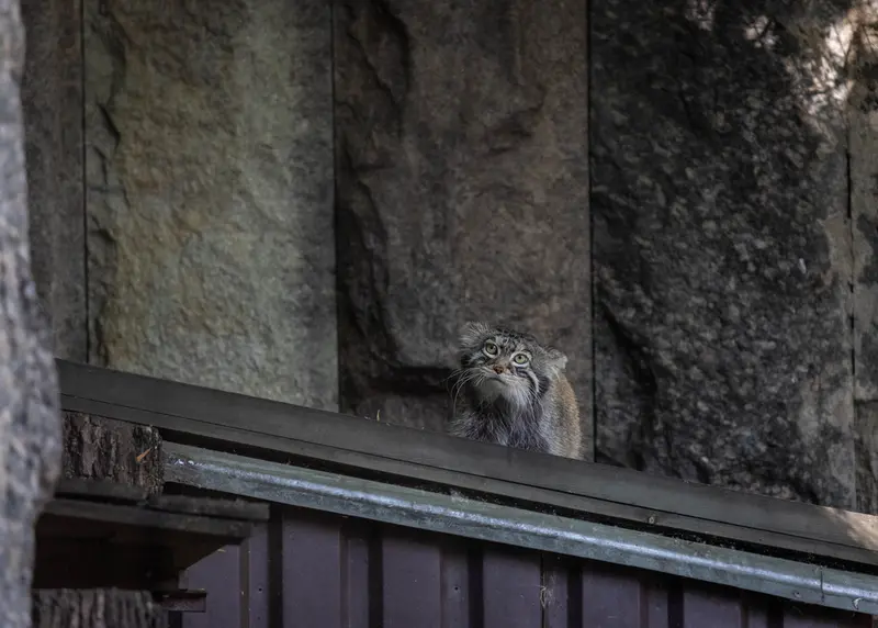 A photograph of Timofey in Moscow zoo