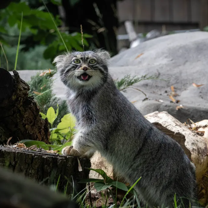 A photograph of Timofey in Moscow zoo