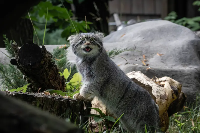 A photograph of Timofey in Moscow zoo