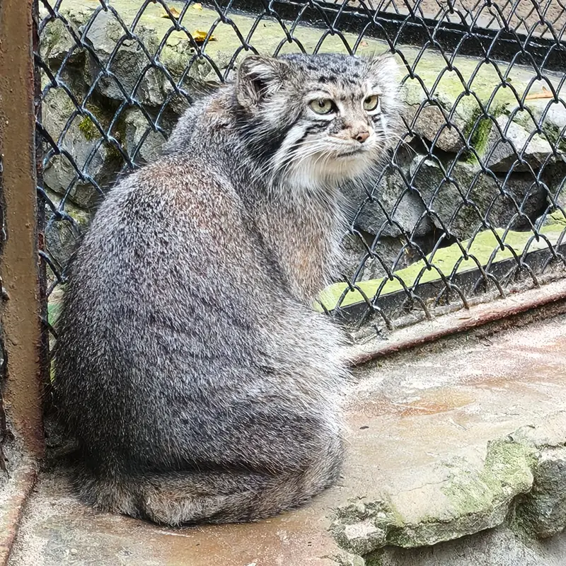 A photograph of Eve in Novosibirsk Zoo