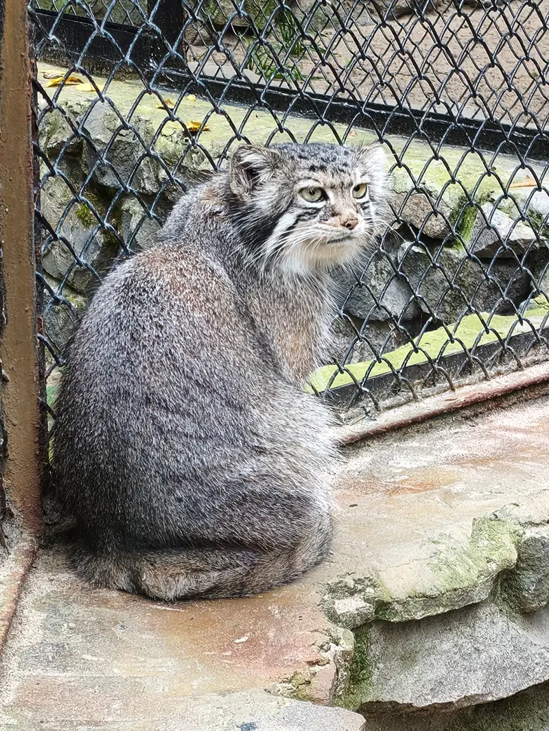 A photograph of Eve in Novosibirsk Zoo