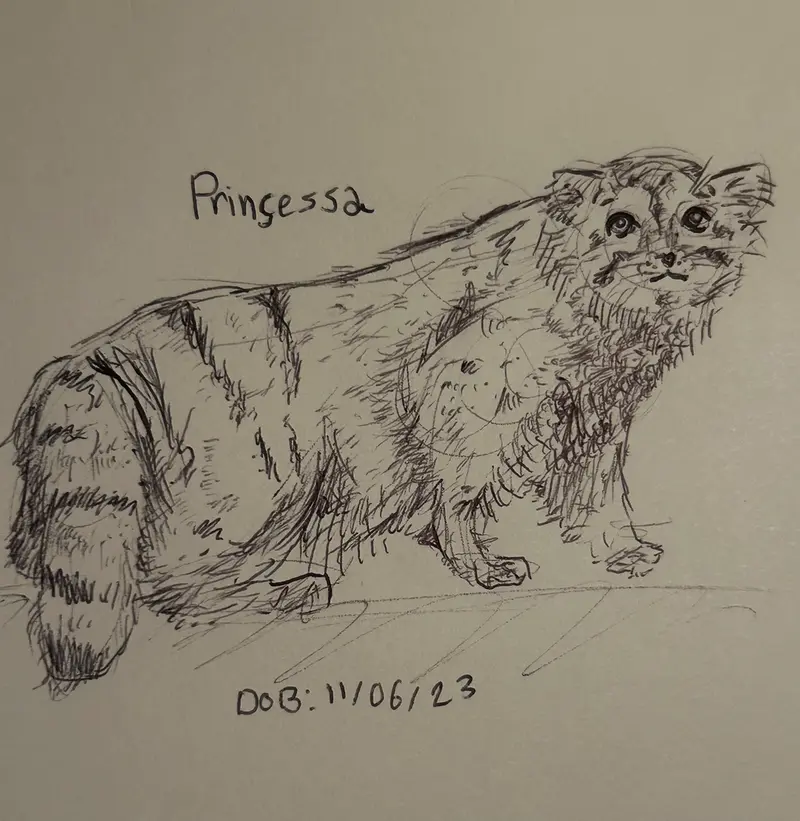 A photograph of Prinsessa