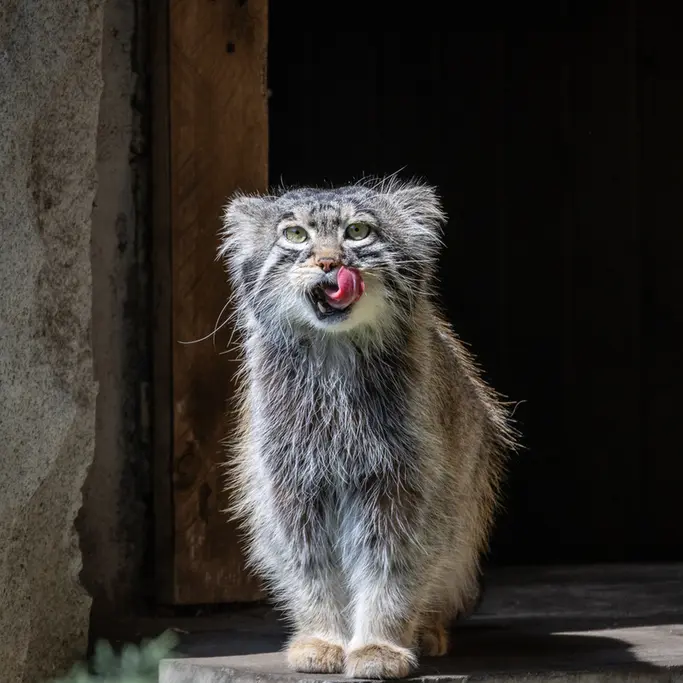 A photograph of Timofey in Moscow zoo