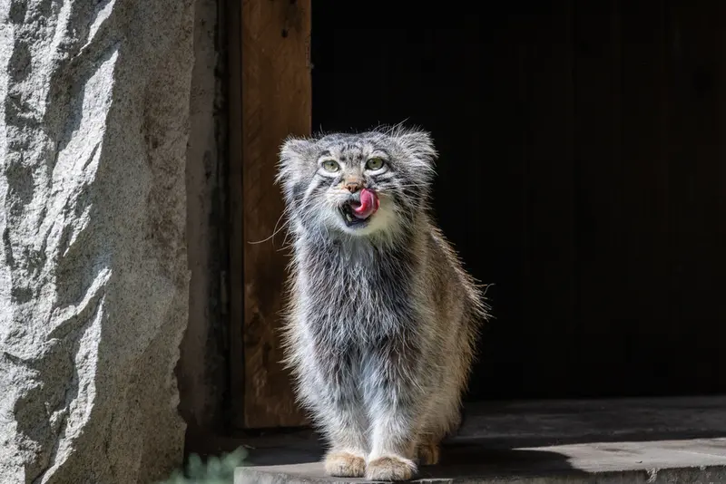 A photograph of Timofey in Moscow zoo