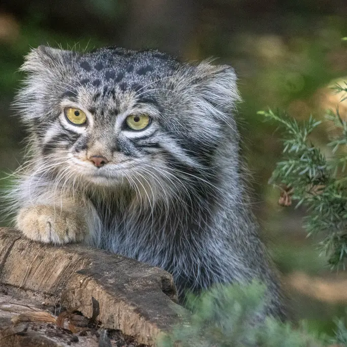 A photograph of Timofey in Moscow zoo