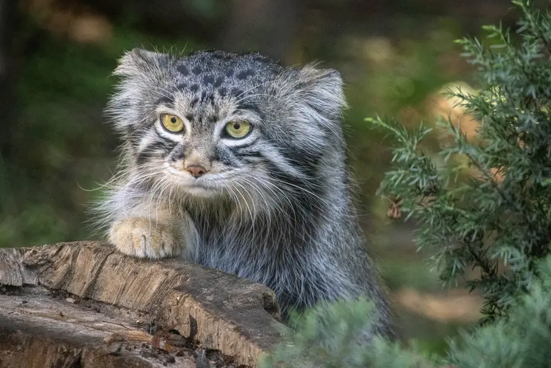 A photograph of Timofey in Moscow zoo