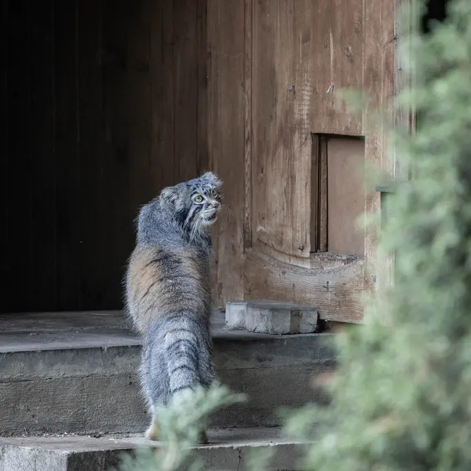 A photograph of Timofey in Moscow zoo