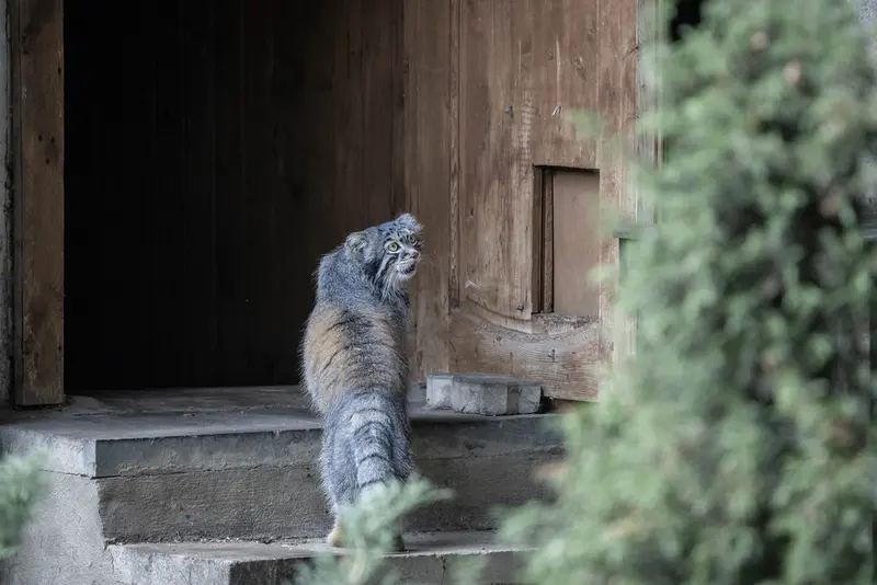 A photograph of Timofey in Moscow zoo