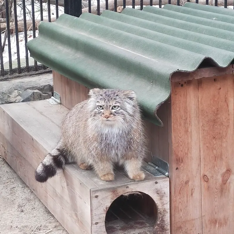 A photograph of Gabi in Novosibirsk Zoo