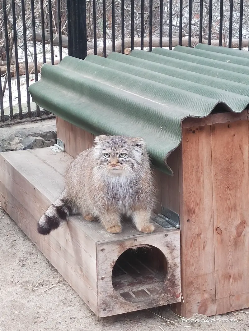 A photograph of Gabi in Novosibirsk Zoo
