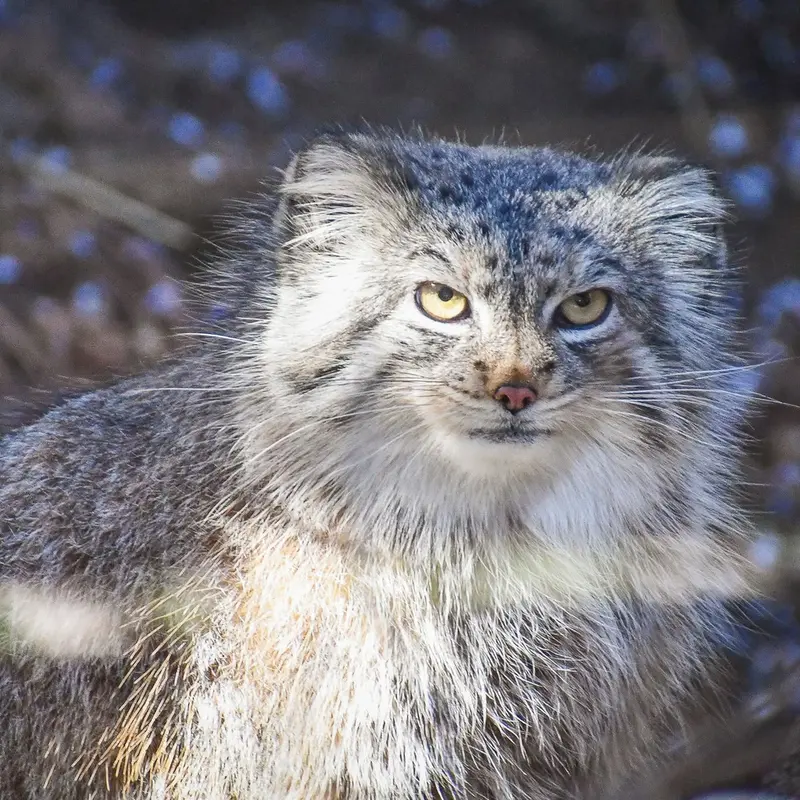 A photograph of Nancy in Cheyenne Mountain Zoo