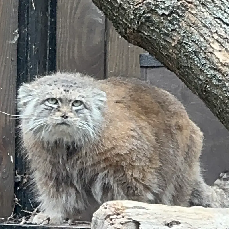 A photograph of Jessie in Warsaw Zoo