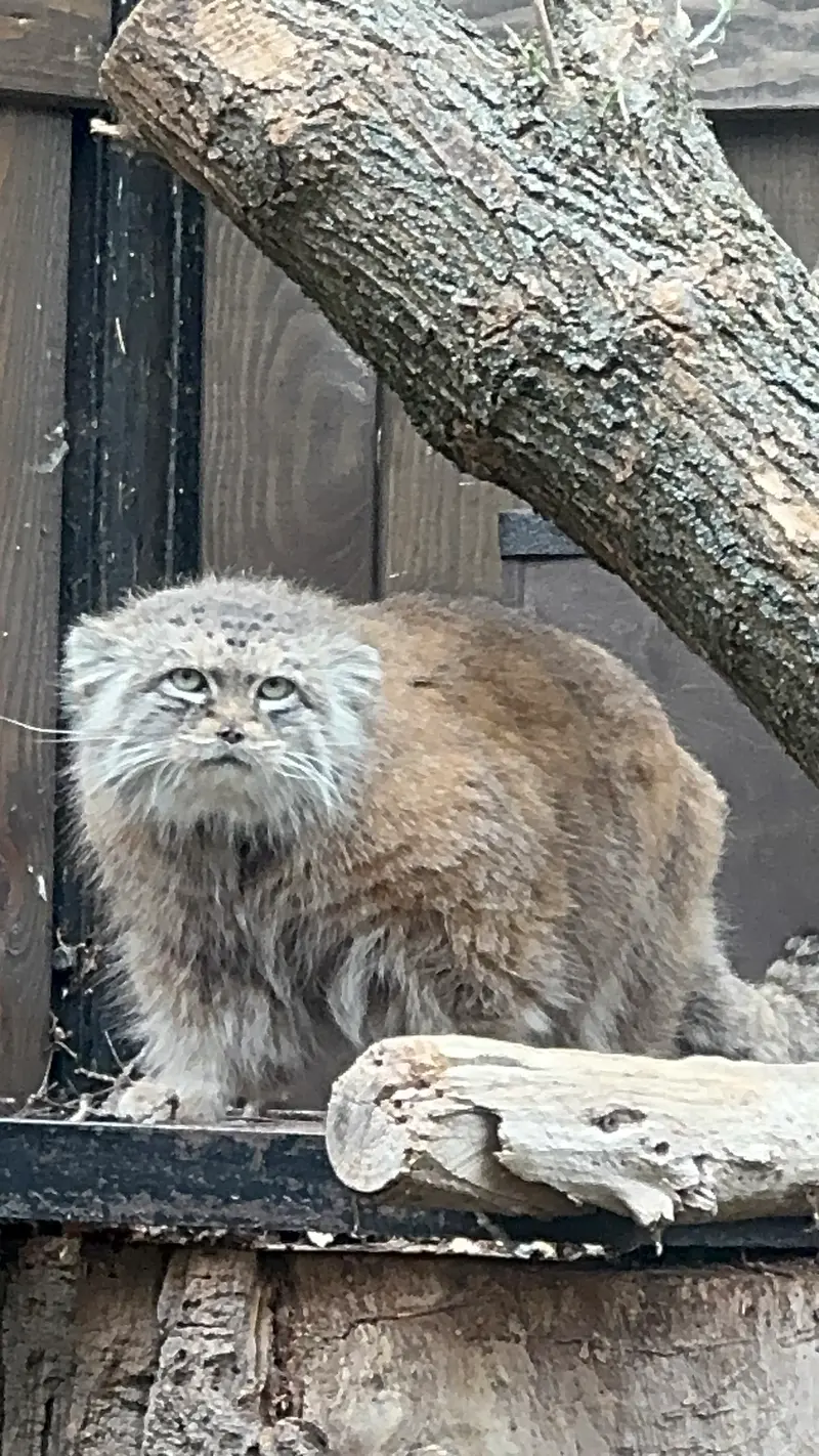 A photograph of Jessie in Warsaw Zoo
