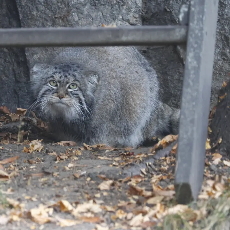 A photograph of Timofey in Moscow zoo