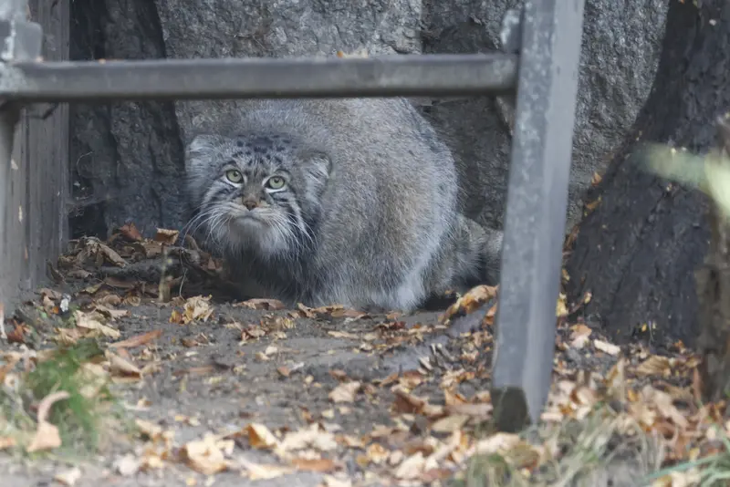 A photograph of Timofey in Moscow zoo