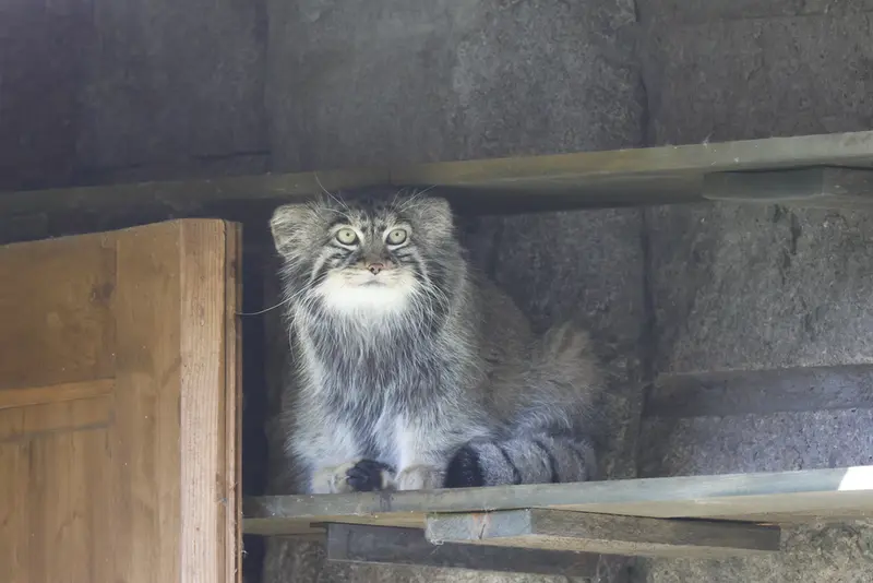 A photograph of Timofey in Moscow zoo