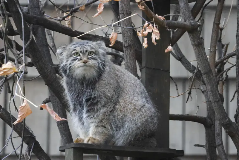 A photograph of Timofey in Moscow zoo