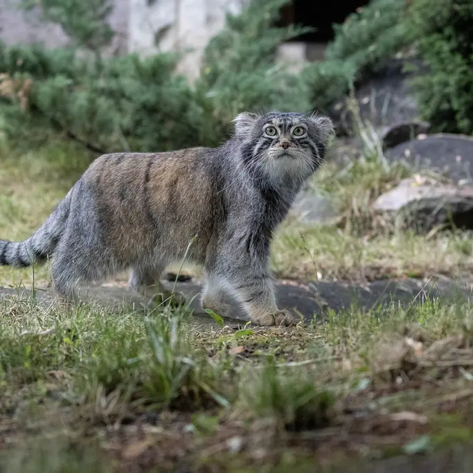 A photograph of Timofey in Moscow zoo