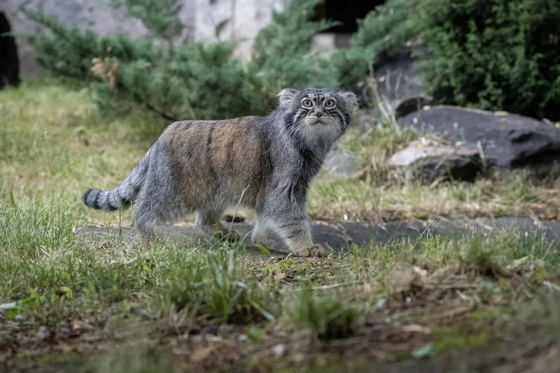 A photograph of Timofey in Moscow zoo