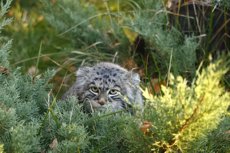 A photograph of Timofey in Moscow zoo