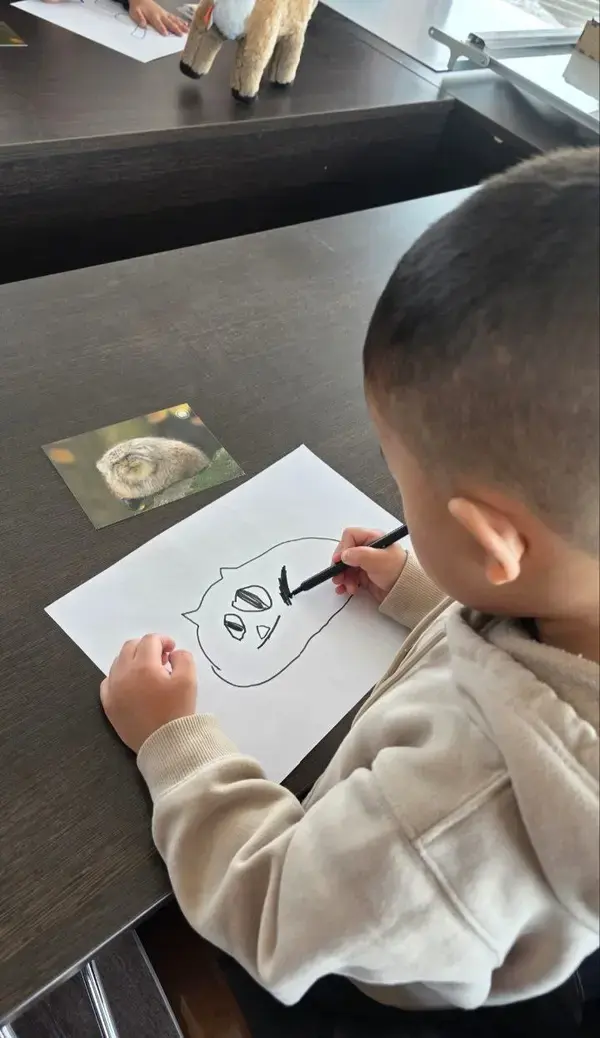 A photograph of a Pallas's cat