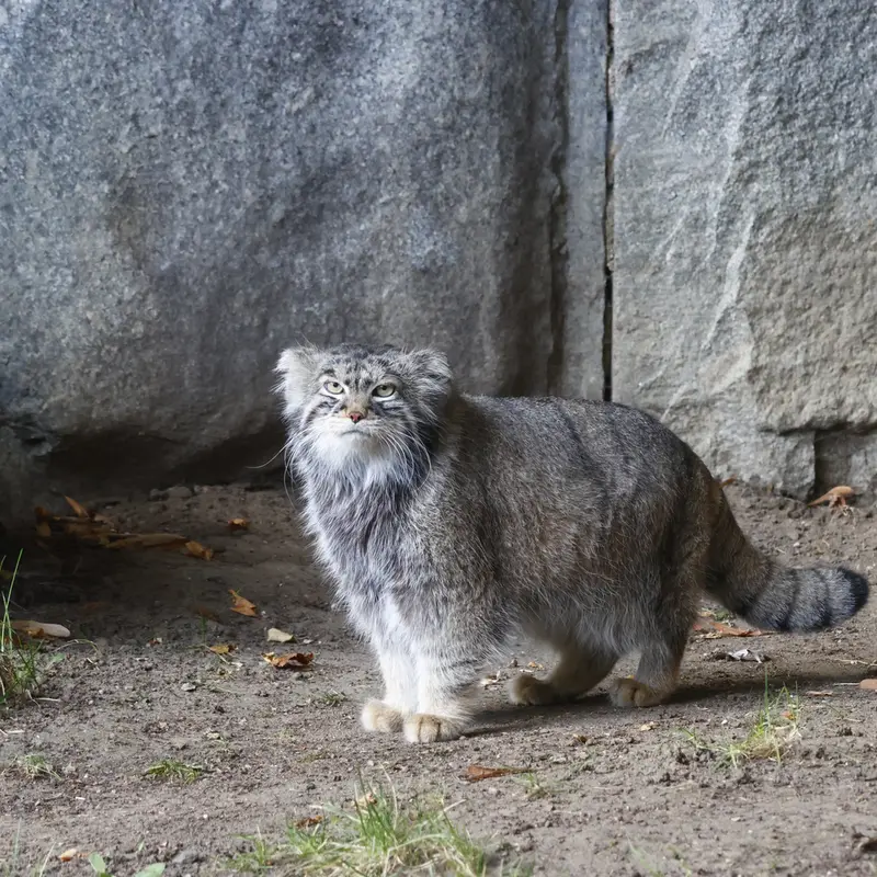 A photograph of Timofey in Moscow zoo