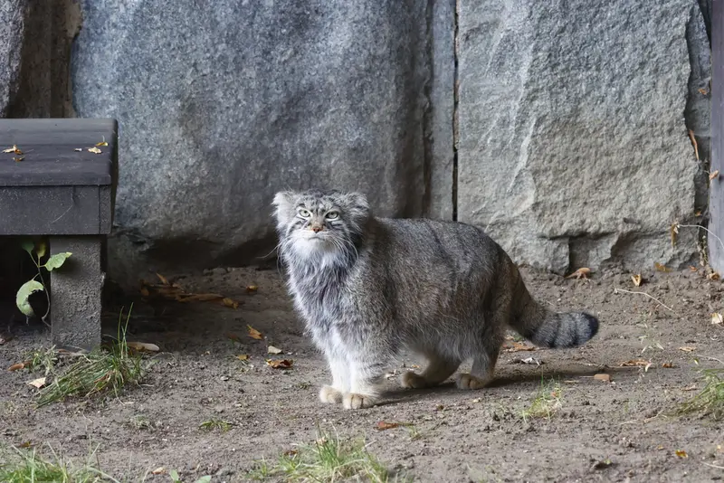 A photograph of Timofey in Moscow zoo