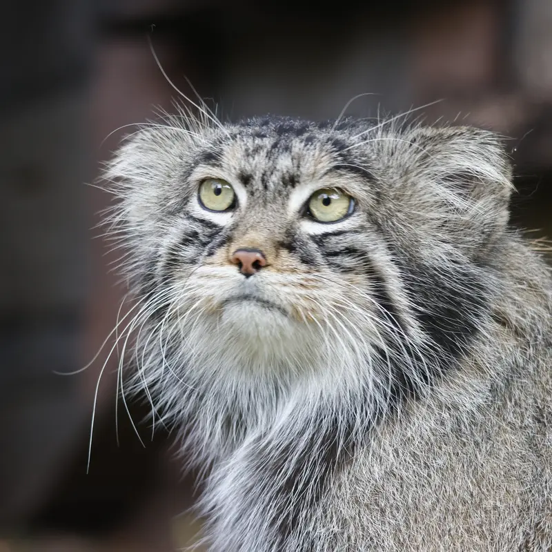 A photograph of Timofey in Moscow zoo