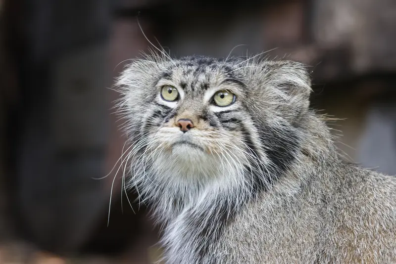 A photograph of Timofey in Moscow zoo