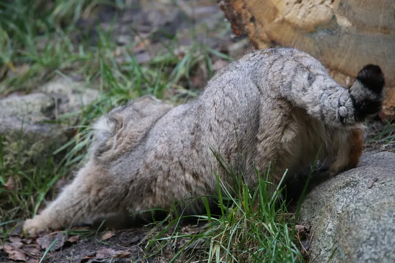 A photograph of Manuel in Gdansk Zoo