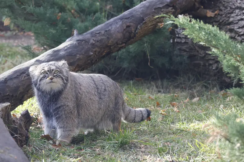 A photograph of Timofey in Moscow zoo