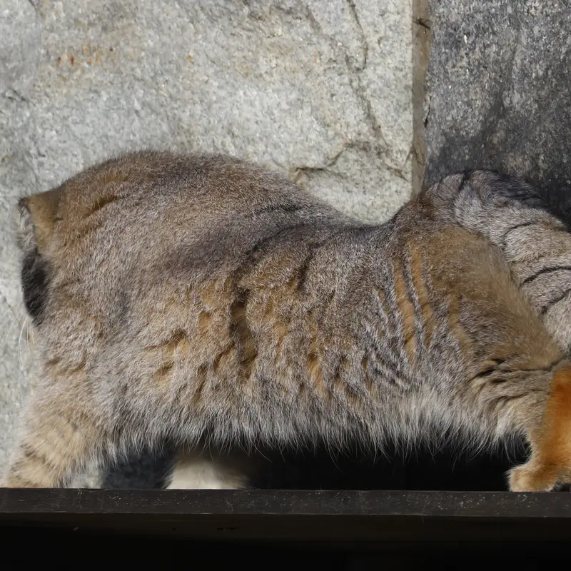 A photograph of Timofey in Moscow zoo