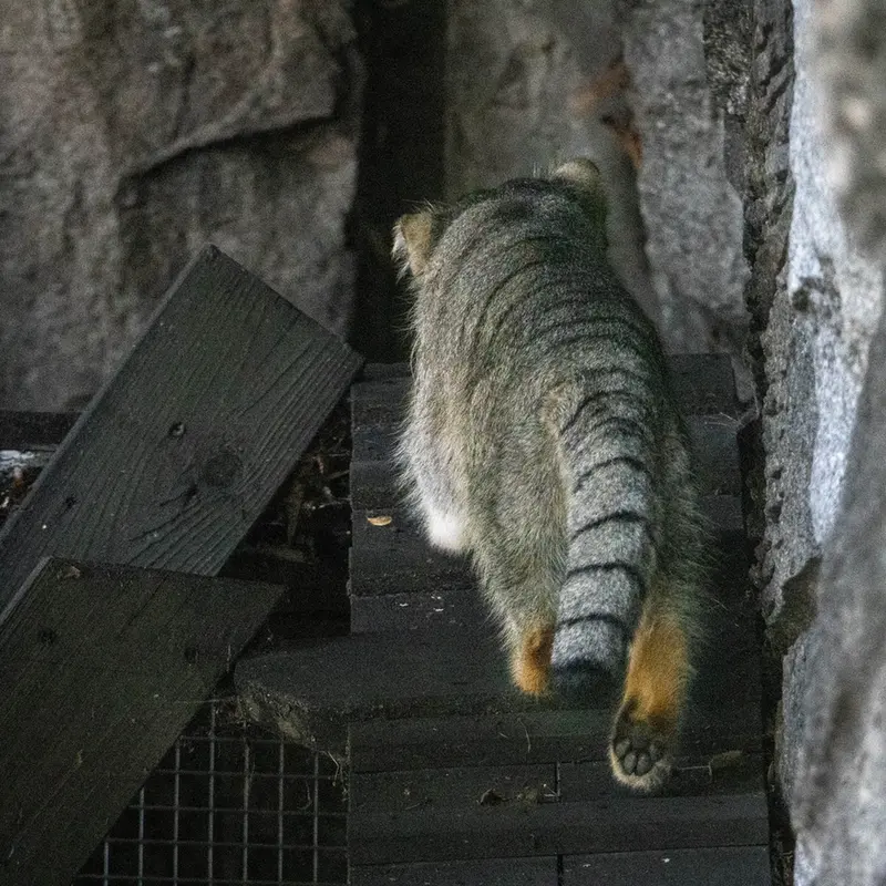 A photograph of Timofey in Moscow zoo